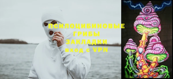 ПСИЛОЦИБИНОВЫЕ ГРИБЫ Алексин