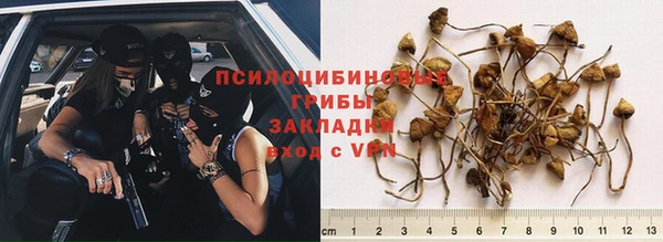 ПСИЛОЦИБИНОВЫЕ ГРИБЫ Алексин